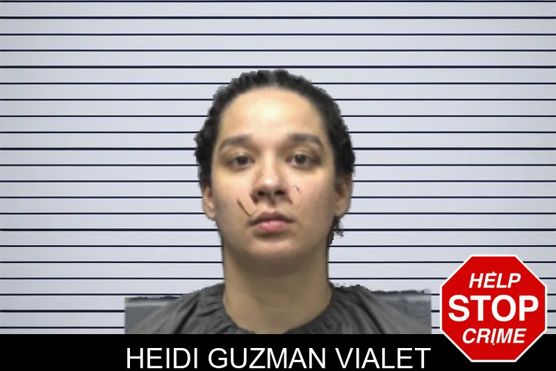 Heidi Guzman Vialet mugshot