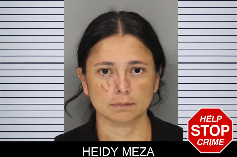 Heidy Meza mugshot – Cobb County , Georgia Heidy Meza mugshot