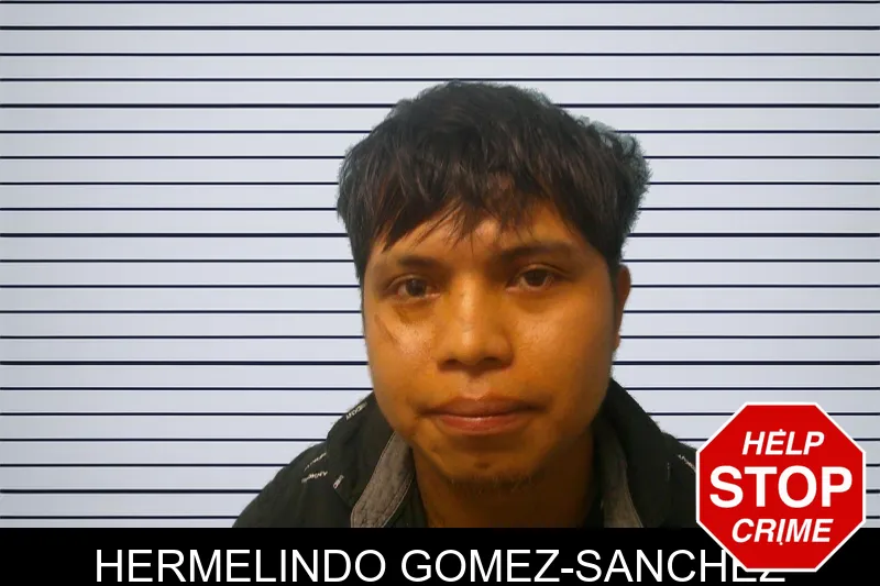 Hermelindo Gomez-Sanchez mugshot