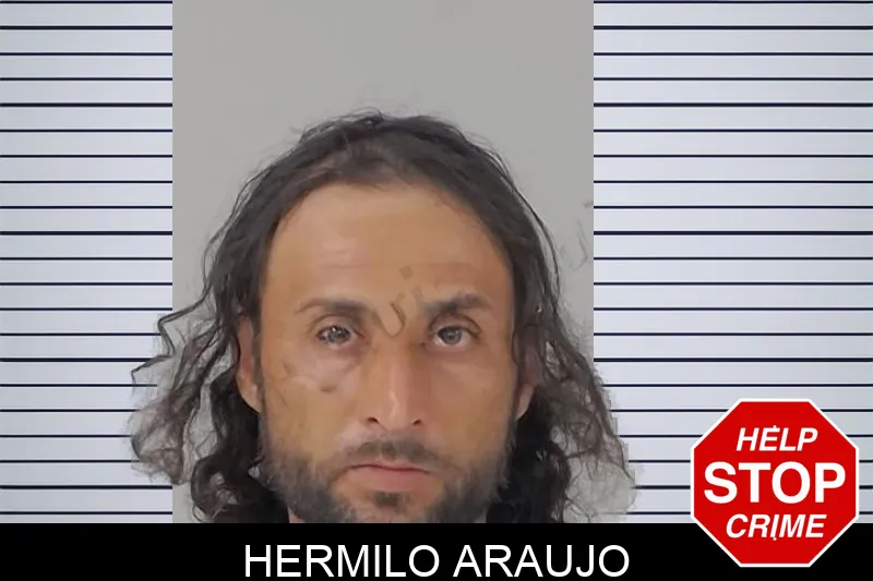 Hermilo Araujo mugshot