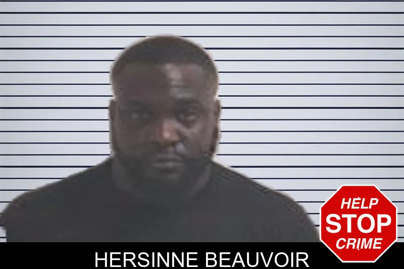 Hersinne Beauvoir mugshot – Henry County , Georgia Hersinne Beauvoir mugshot