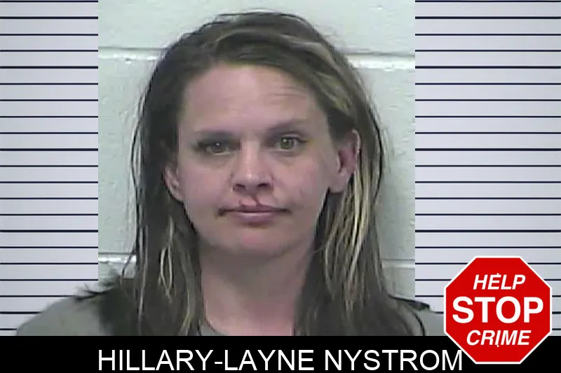 Hillary-Layne Nystrom mugshot – Dawson County , Georgia Hillary-Layne Nystrom mugshot