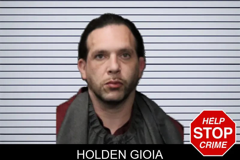 Holden Gioia mugshot – Forsyth County , Georgia Holden Gioia mugshot