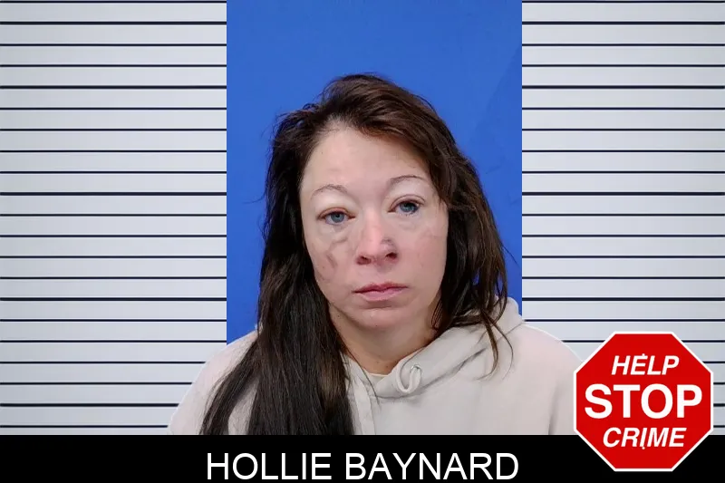 Hollie Baynard mugshot – Troup County , Georgia Hollie Baynard mugshot