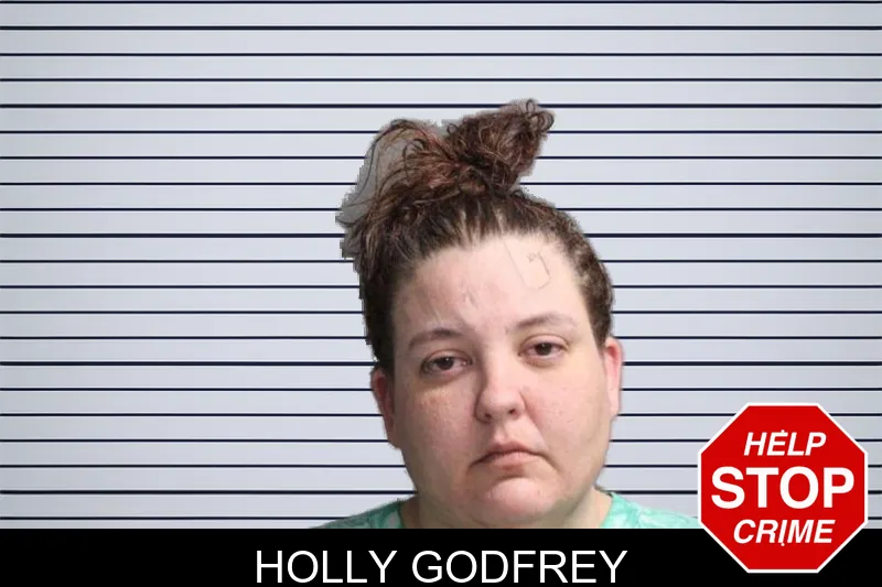 Holly Godfrey mugshot – Crisp County , Georgia Holly Godfrey mugshot