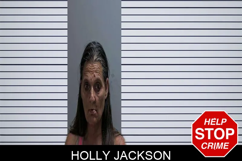 Holly Jackson mugshot – Charlton County , Georgia Holly Jackson mugshot