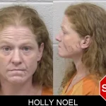 Holly Noel mugshot – Paulding County , Georgia Holly Noel mugshot