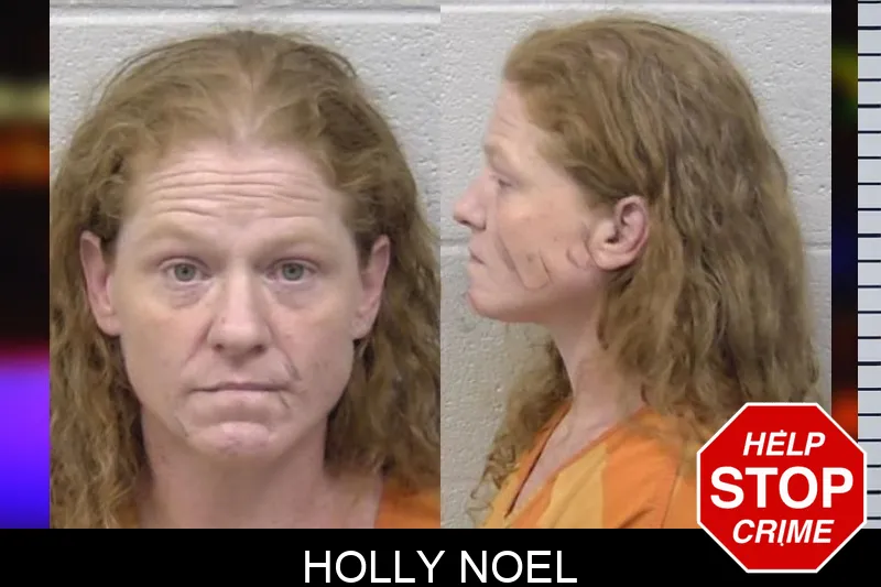Holly Noel mugshot – Paulding County , Georgia Holly Noel mugshot