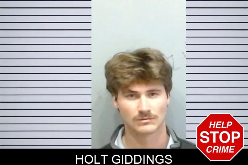 Holt Giddings mugshot – Fulton County , Georgia Holt Giddings mugshot