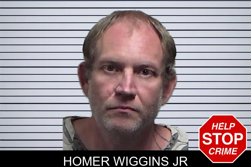 Homer Wiggins Jr mugshot – Tift County , Georgia Homer Wiggins Jr mugshot