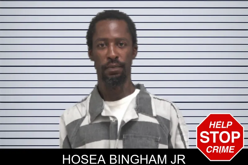 Hosea Bingham Jr mugshot