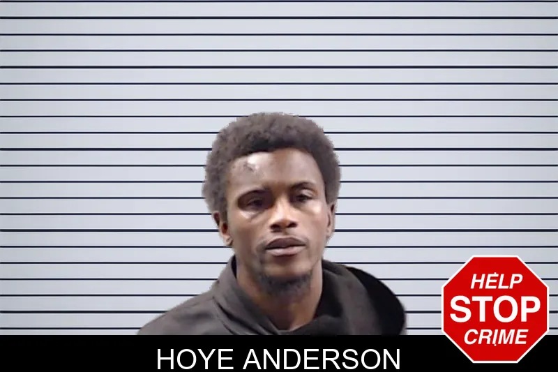 Hoye Anderson mugshot