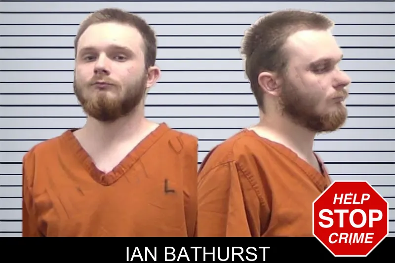 Ian Bathurst mugshot
