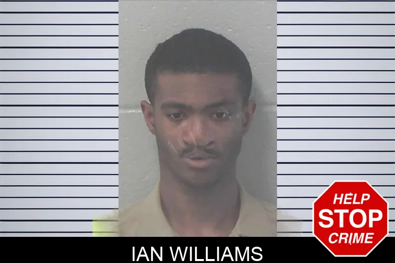 Ian Williams mugshot – Newton County , Georgia Ian Williams mugshot