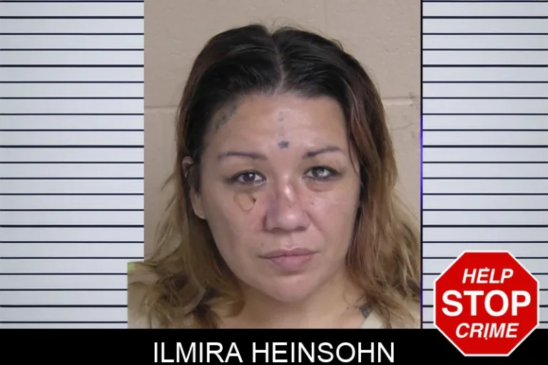 Ilmira Heinsohn mugshot – Walker County , Georgia Ilmira Heinsohn