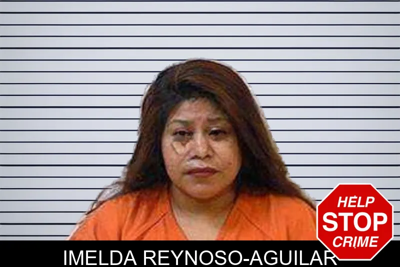 Imelda Reynoso-Aguilar mugshot