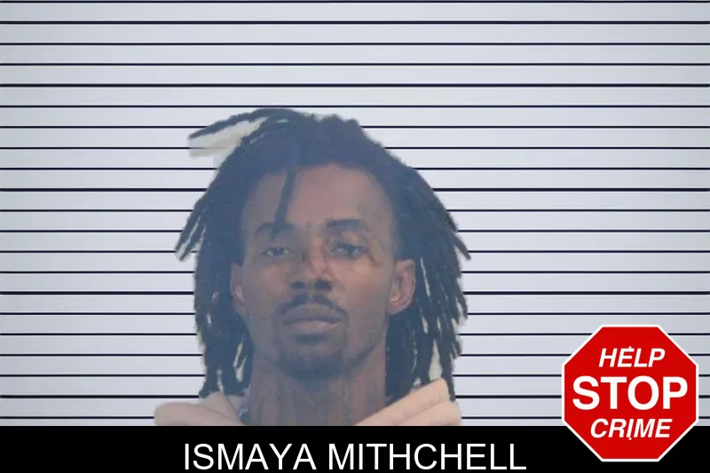 Ismaya Mithchell mugshot – McDuffie County , Georgia Ismaya Mithchell mugshot