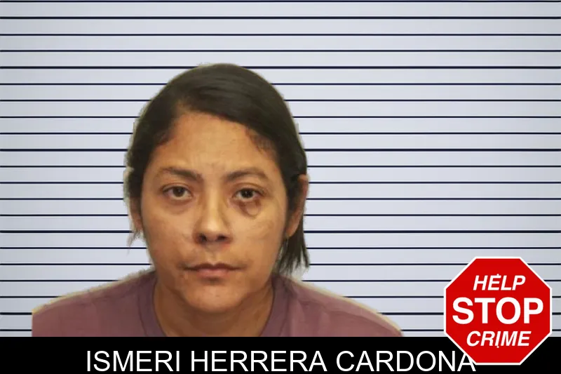 Ismeri Herrera Cardona mugshot – Chatham County , Georgia Ismeri Herrera Cardona mugshot