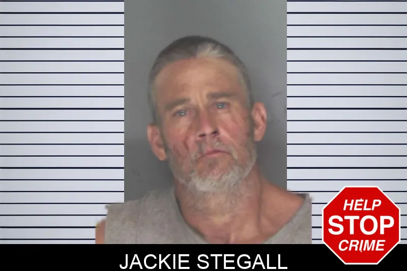 Jackie Stegall mugshot