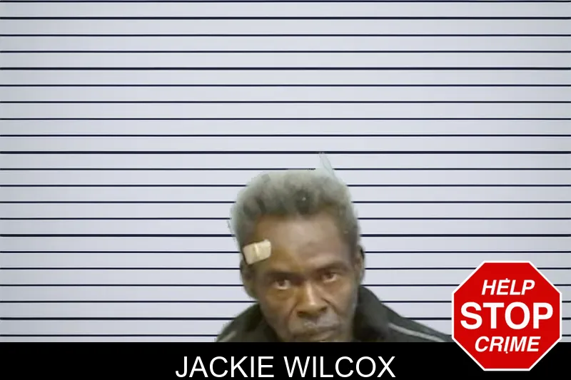 Jackie Wilcox mugshot – Fulton County , Georgia Jackie Wilcox mugshot