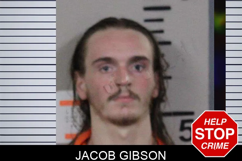 Jacob Gibson mugshot – Lamar County , Georgia Jacob Gibson mugshot