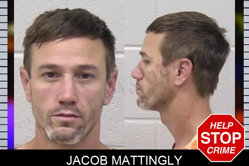 Jacob Mattingly mugshot – Paulding County , Georgia Jacob Mattingly mugshot