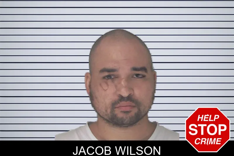 Jacob Wilson mugshot – Douglas County , Georgia Jacob Wilson mugshot
