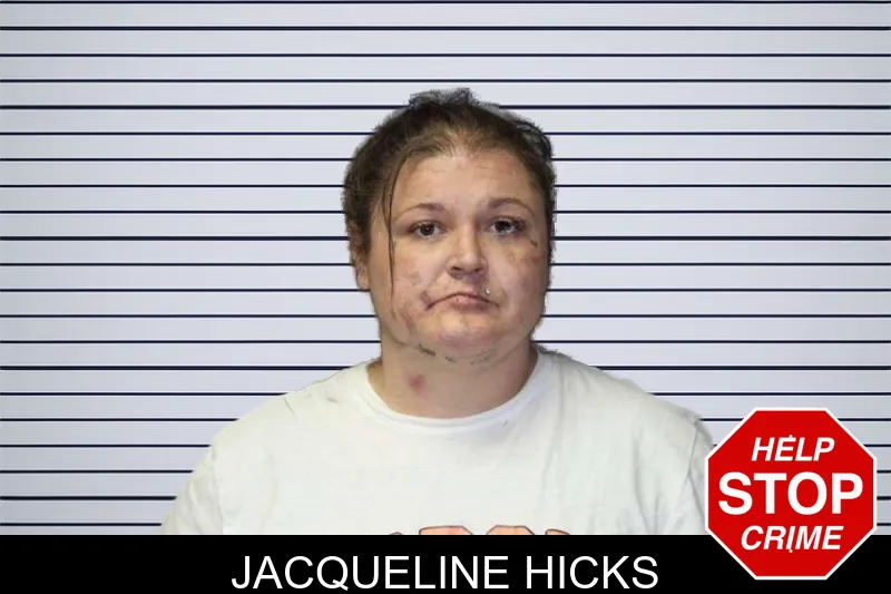 Jacqueline Hicks mugshot