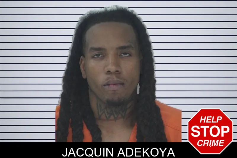 Jacquin Adekoya mugshot – Fayette County , Georgia Jacquin Adekoya mugshot