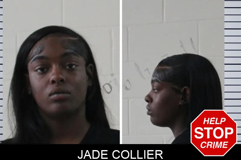 Jade Collier mugshot – Houston County , Georgia Jade Collier mugshot