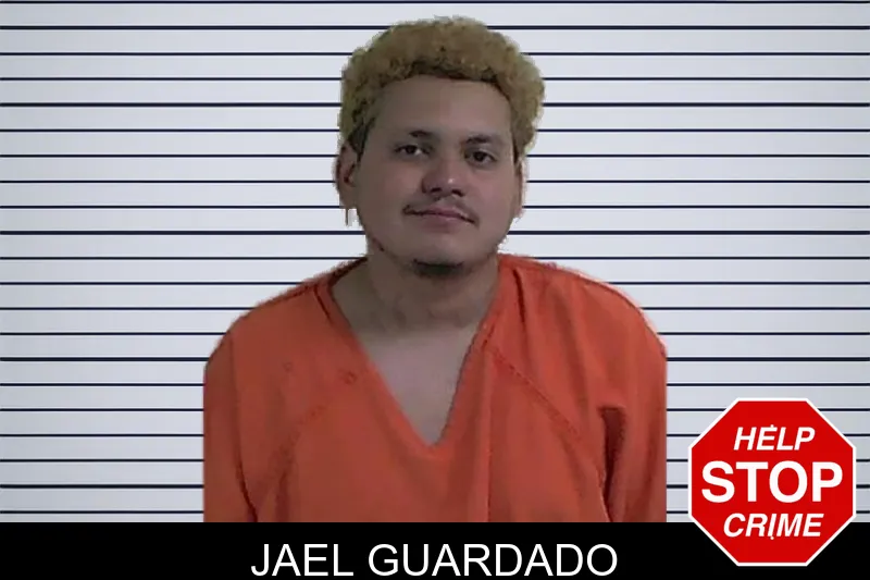 Jael Guardado mugshot – Fannin County , Georgia Jael Guardado mugshot