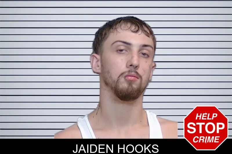 Jaiden Hooks mugshot
