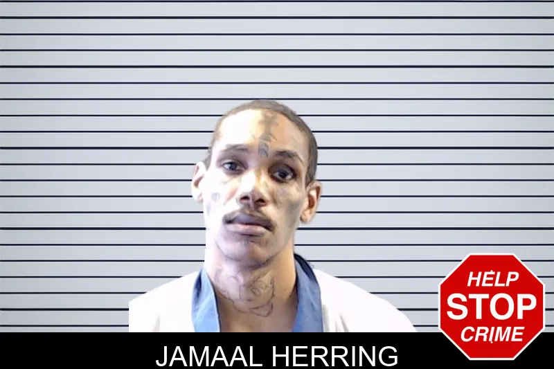 Jamaal Herring mugshot – DeKalb County , Georgia Jamaal Herring mugshot