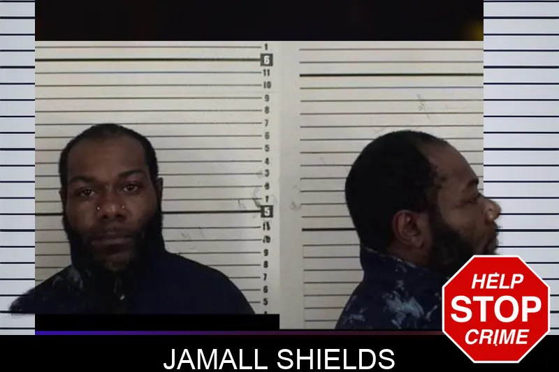Jamall Shields mugshot – Camden County , Georgia Jamall Shields mugshot