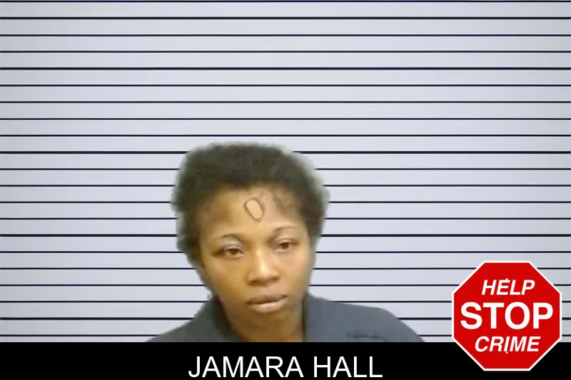 Jamara Hall mugshot – Fulton County , Georgia Jamara Hall mugshot