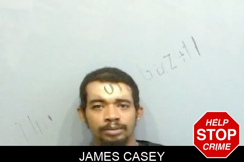 James Casey mugshot – Fulton County , Georgia James Casey mugshot
