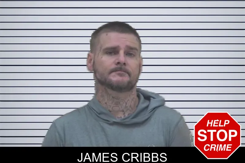 James Cribbs mugshot