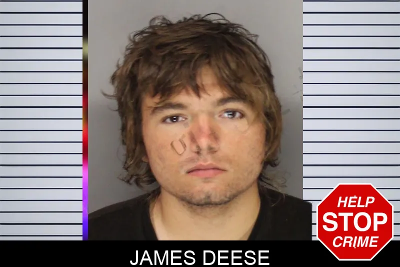 James Deese mugshot – Cobb County , Georgia James Deese mugshot