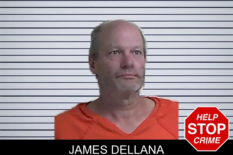 James Dellana mugshot – Fannin County , Georgia James Dellana mugshot