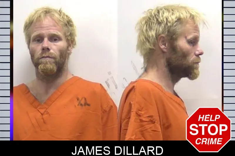James Dillard mugshot – Clarke County , Georgia James Dillard mugshot