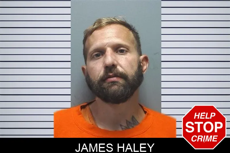 James Haley mugshot