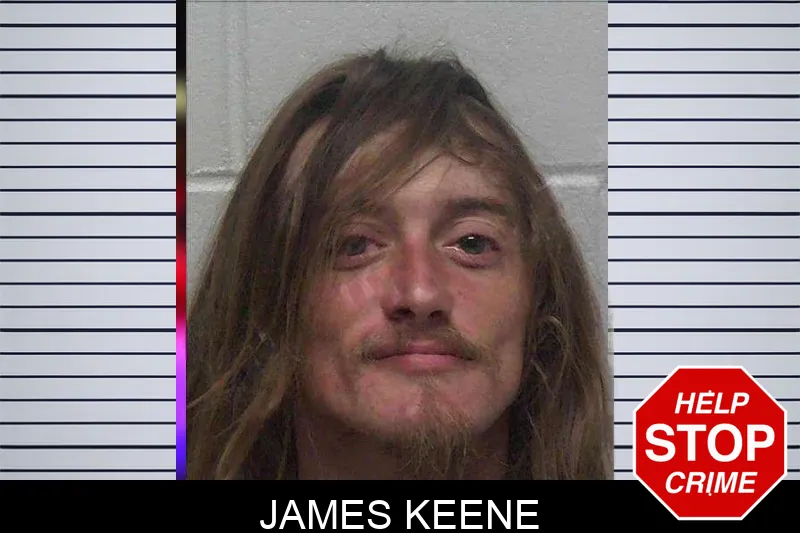James Keene mugshot – Laurens County , Georgia James Keene mugshot