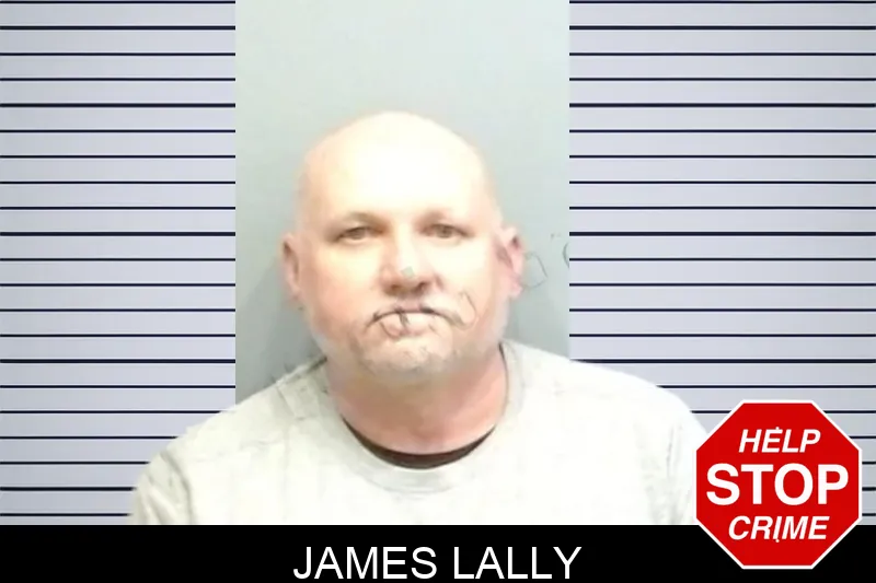 James Lally mugshot – Fulton County , Georgia James Lally mugshot