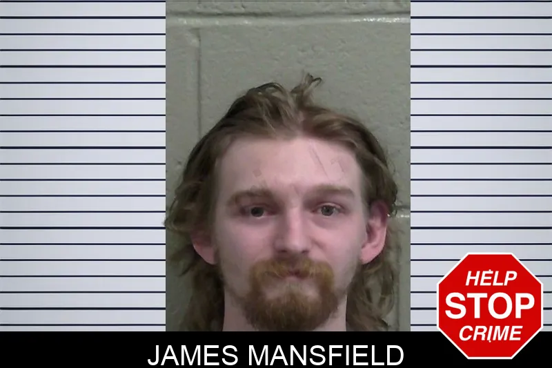 James Mansfield mugshot