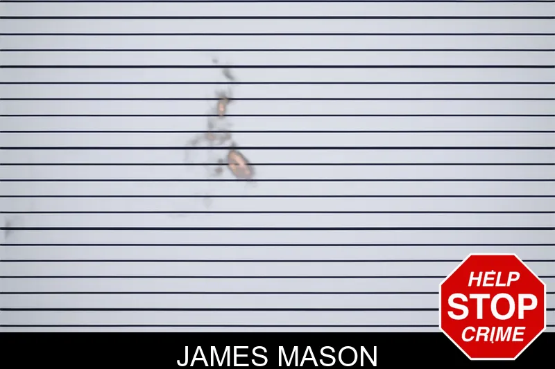 James Mason mugshot – Barrow County , Georgia James Mason mugshot