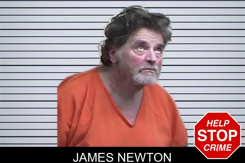 James Newton mugshot – Fannin County , Georgia James Newton mugshot