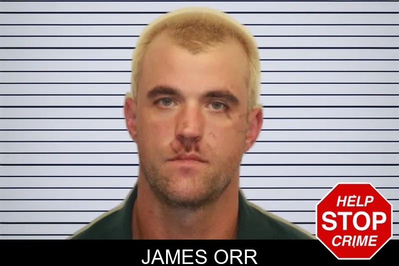 James Orr mugshot – Chatham County , Georgia James Orr mugshot