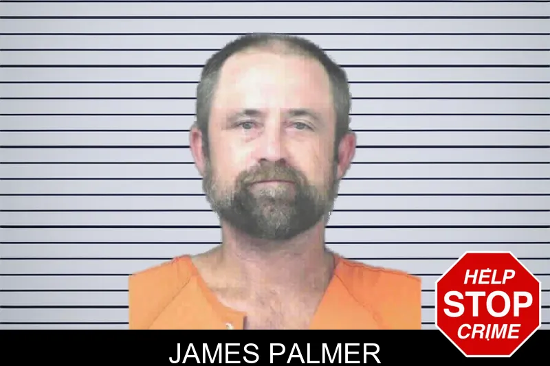 James Palmer mugshot – Mitchell County , Georgia James Palmer mugshot
