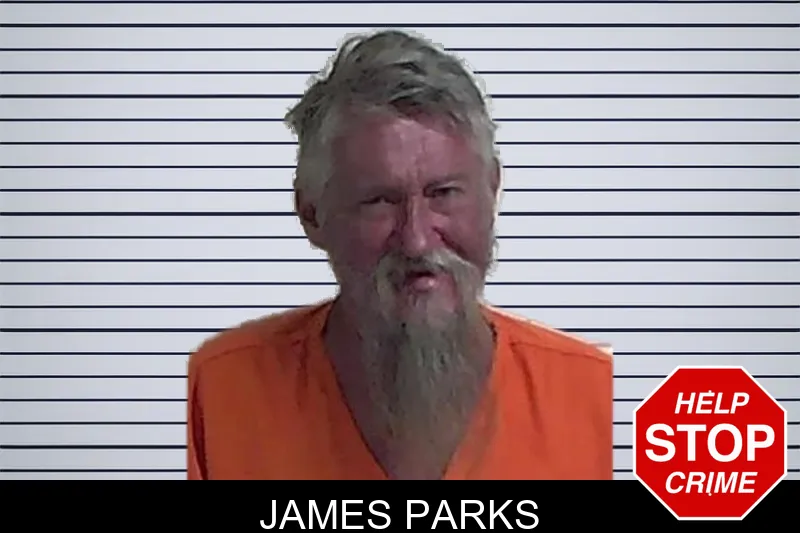James Parks mugshot – Fannin County , Georgia James Parks mugshot