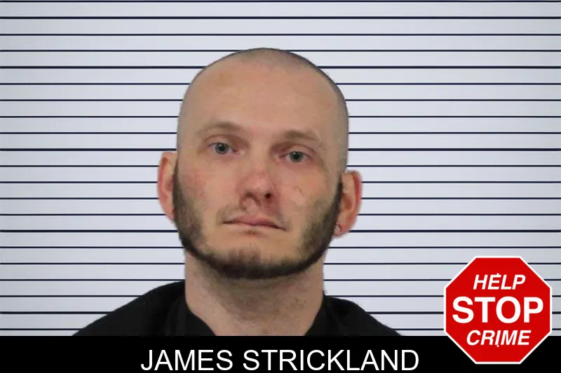 James Strickland mugshot – Carroll County , Georgia James Strickland mugshot